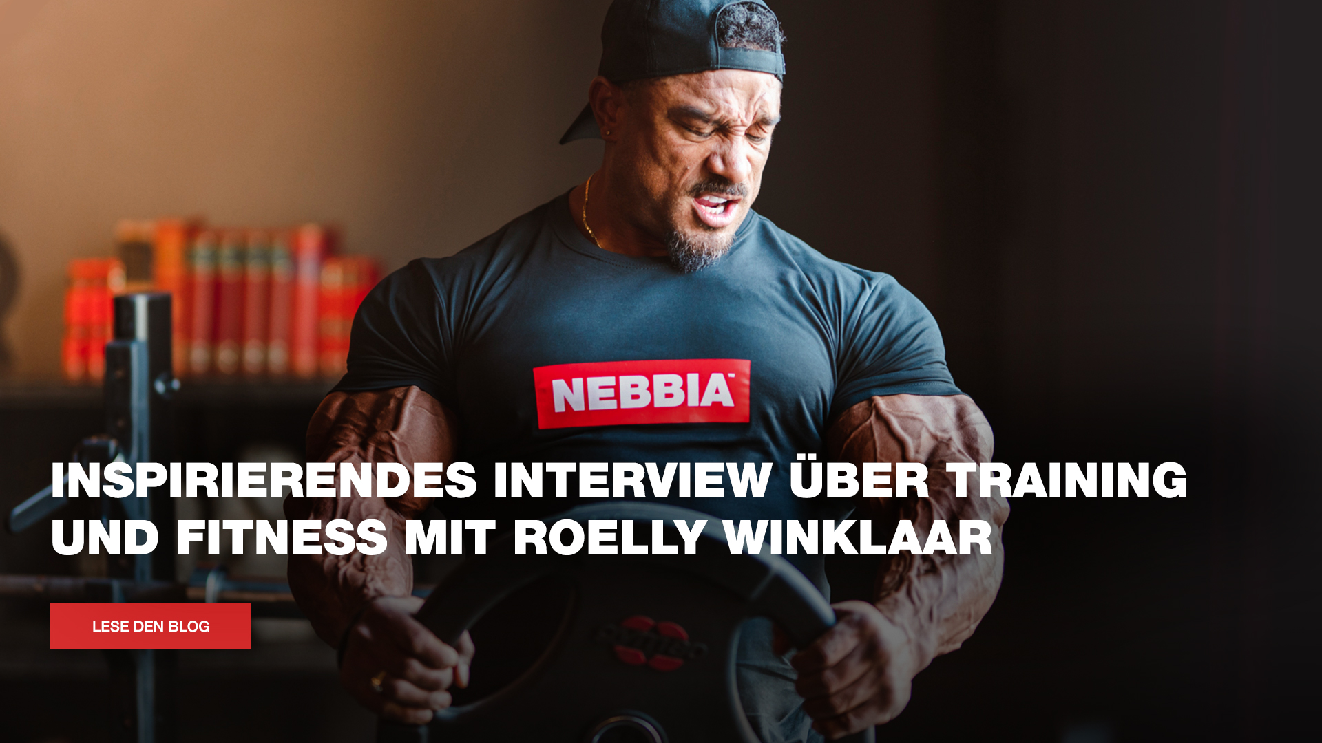 Interview mit Roelly Winklaar