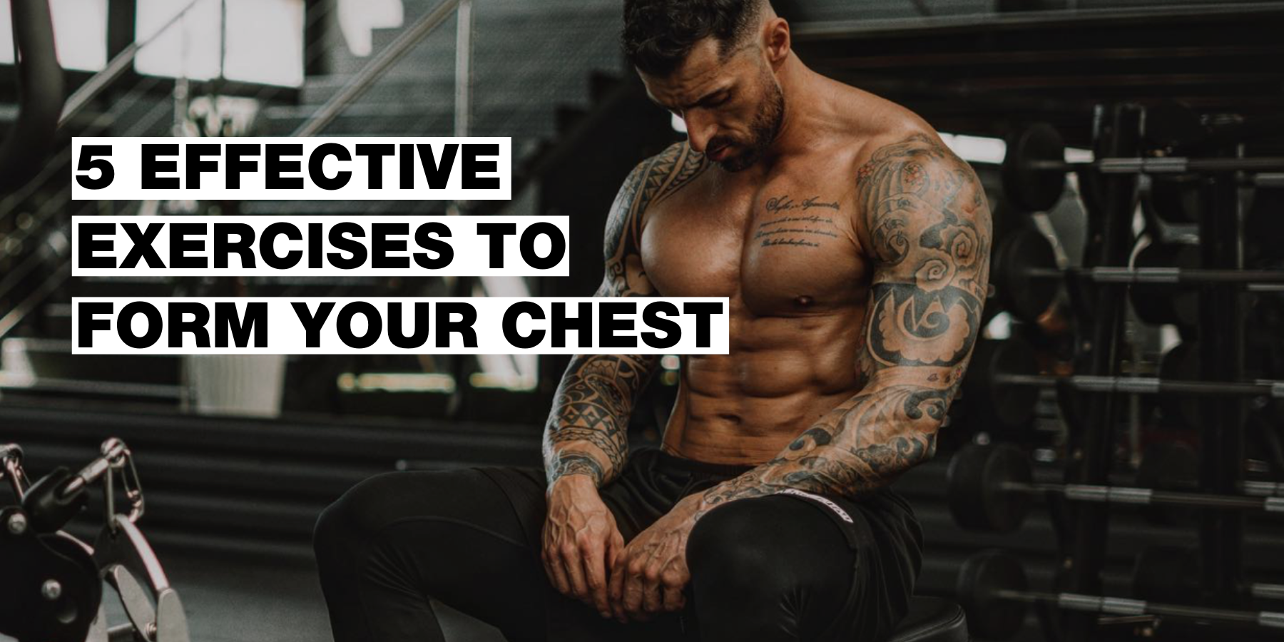 How to build a sculpted chest? Remember these 5 exercises. (PS: Bench press alone won't cut it)