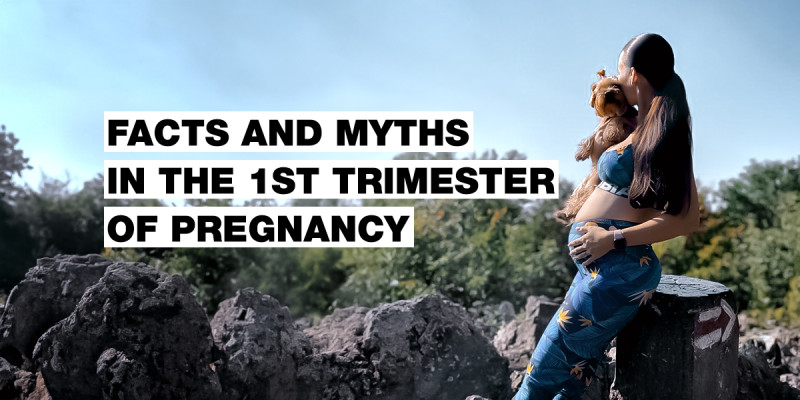 Fakten und Mythen über die Ernährung im 1. Trimester der Schwangerschaft mit Nina Velická