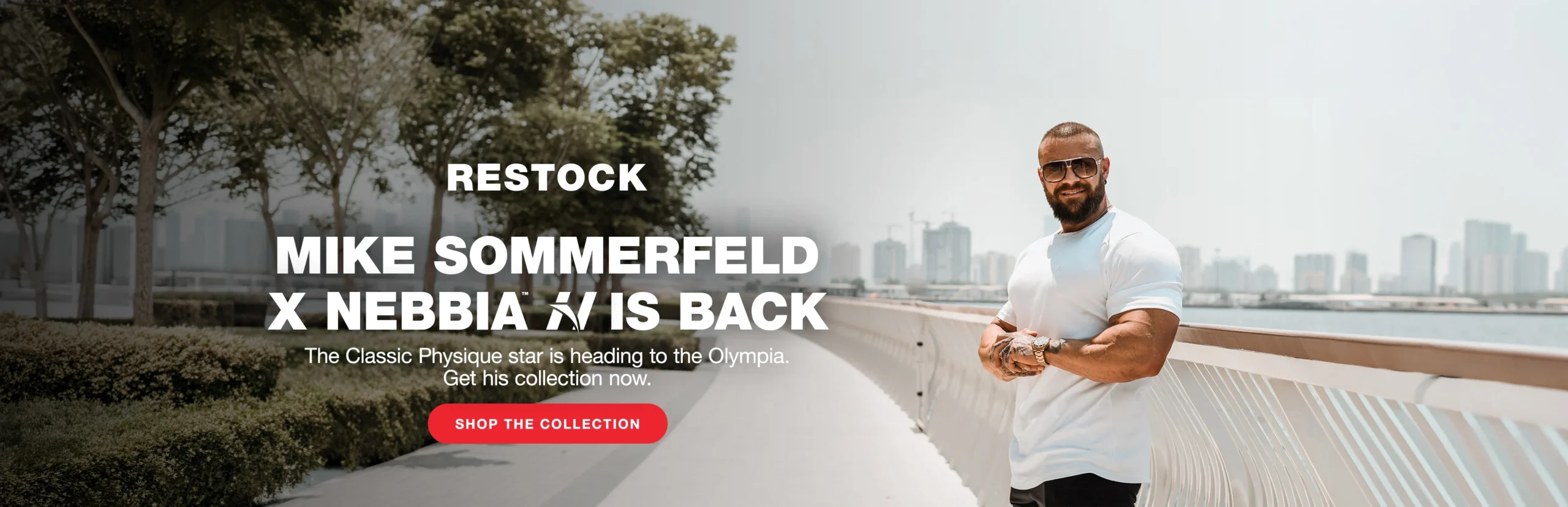 Mike Sommerfeld Capsule