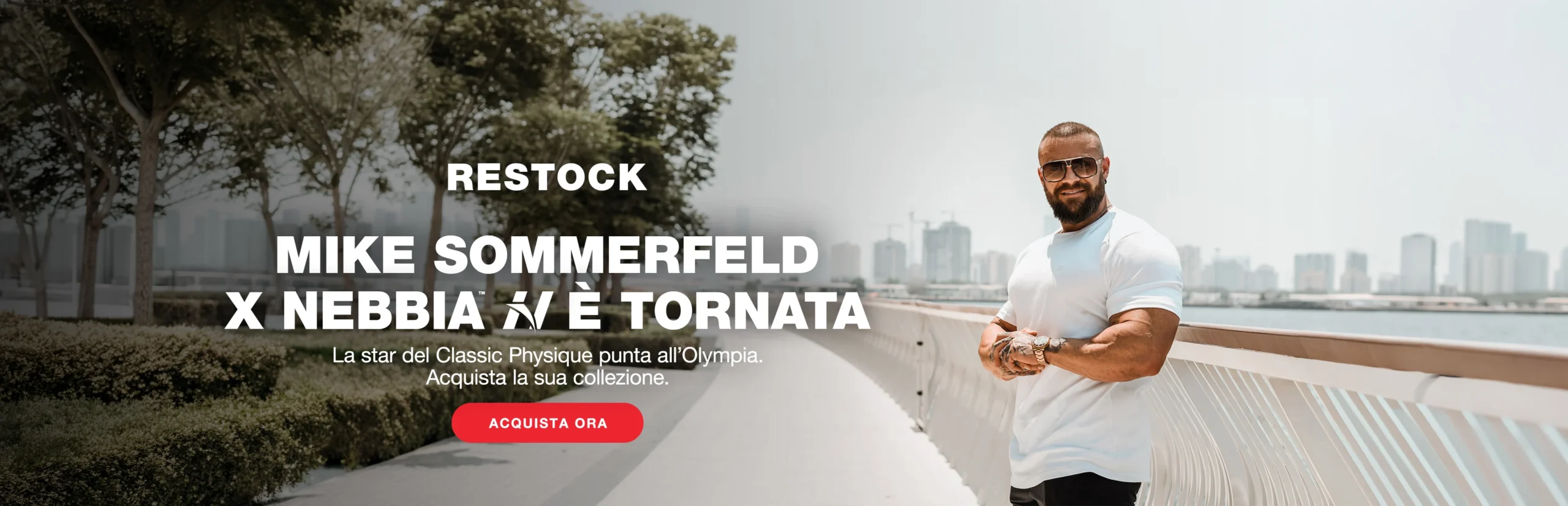 Mike Sommerfeld Capsule