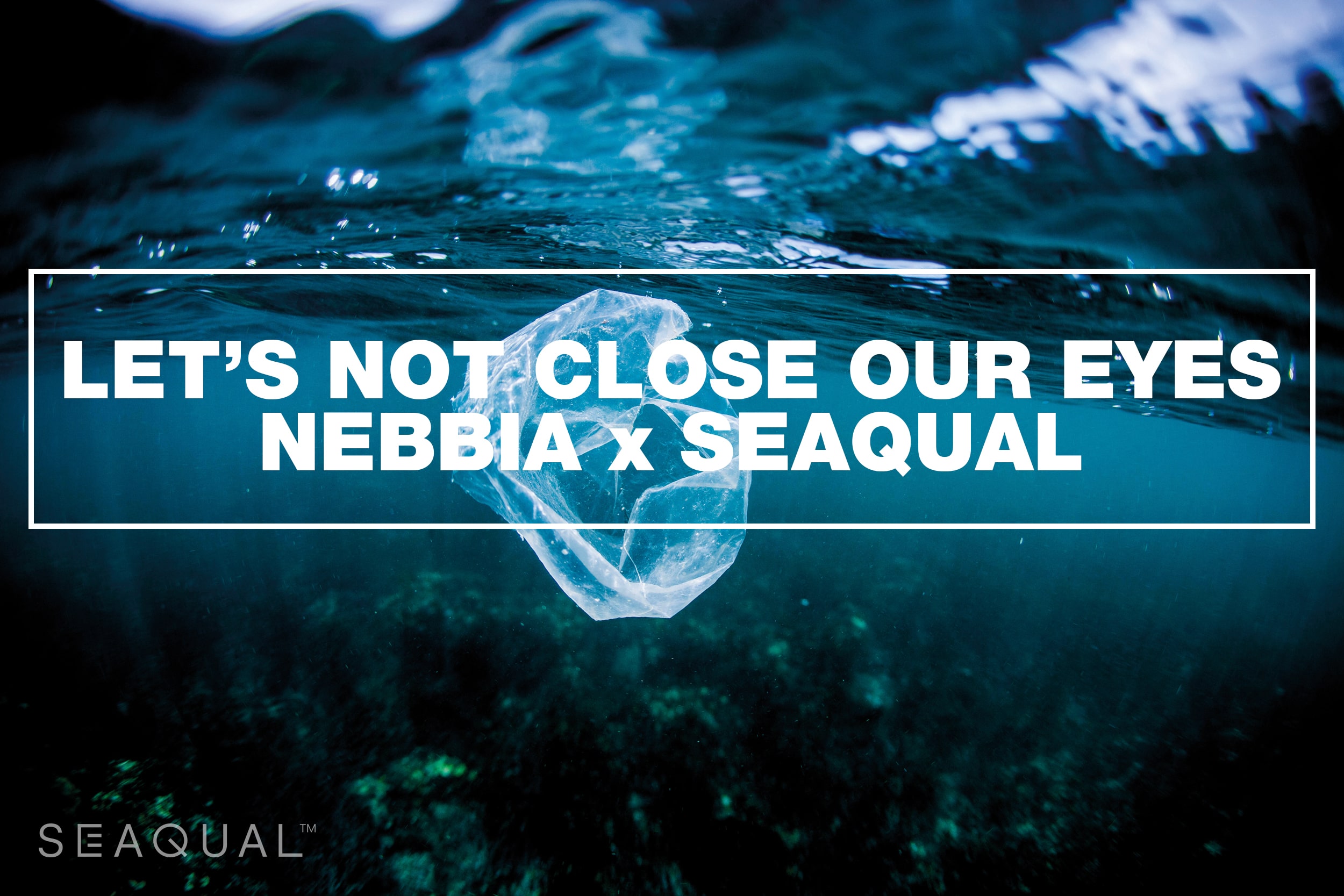 Let’ not close our eyes NEBBIA x SEAQUAL™️